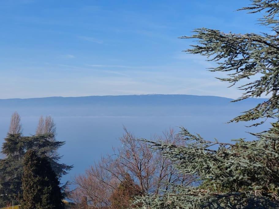 Le Mirabeau Vue Lac Evian-les-Bains Exterior photo