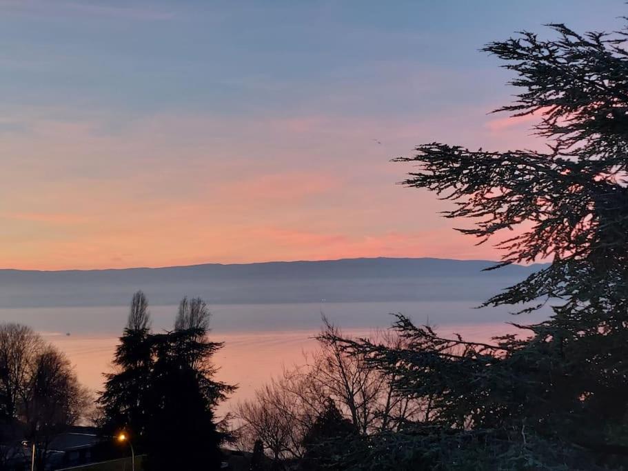 Le Mirabeau Vue Lac Evian-les-Bains Exterior photo