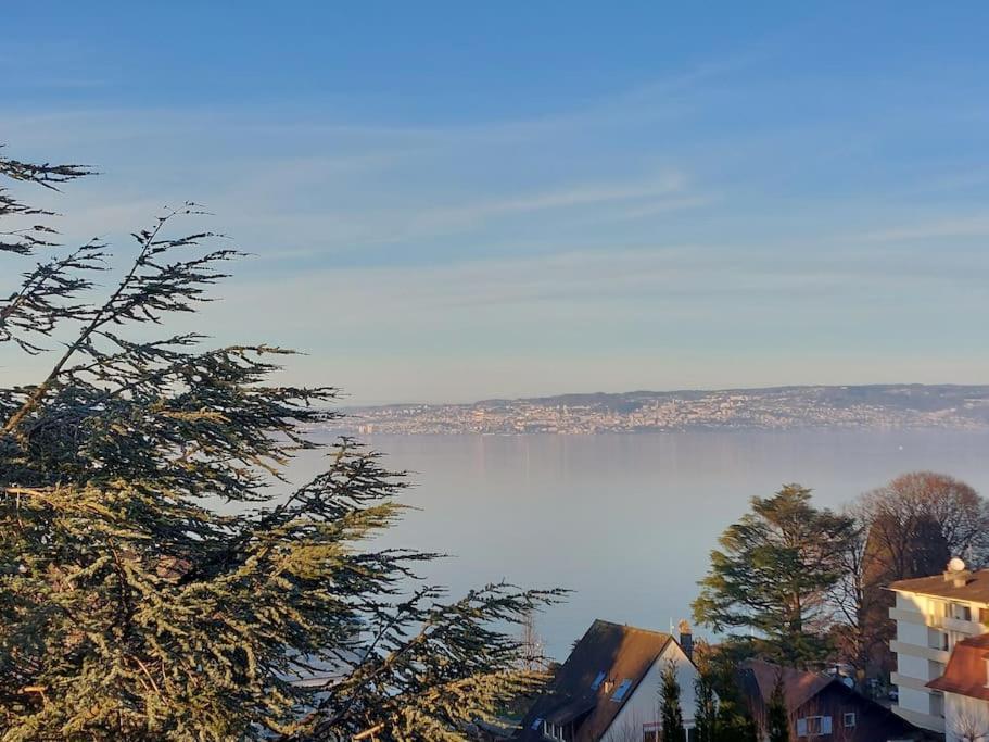 Le Mirabeau Vue Lac Evian-les-Bains Exterior photo